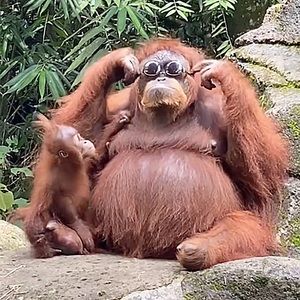 Meet your Posher, Jake